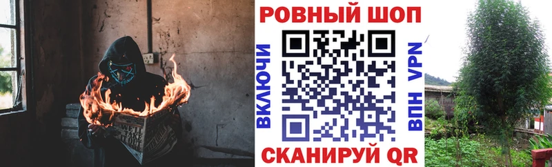Наркошоп купить COCAIN  A-PVP  Гашиш  Бошки Шишки  Галлюциногенные грибы  Меф мяу мяу  Камбарка