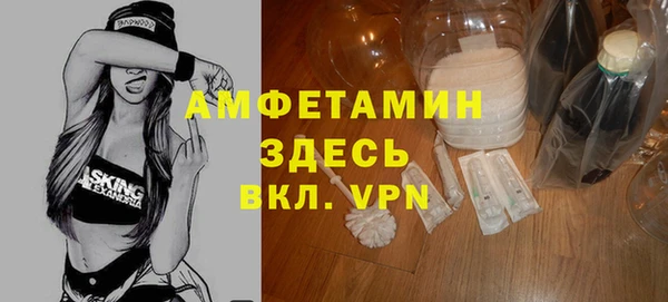 шишки Елизово