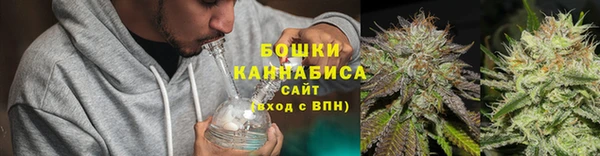 шишки Елизово