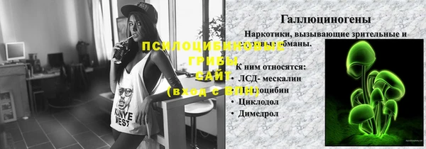 герыч Ельня