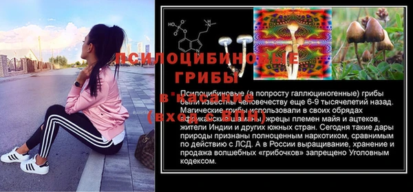 герыч Ельня