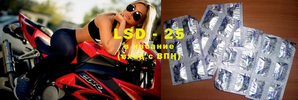 шишки Елизово
