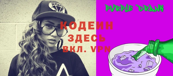 шишки Елизово